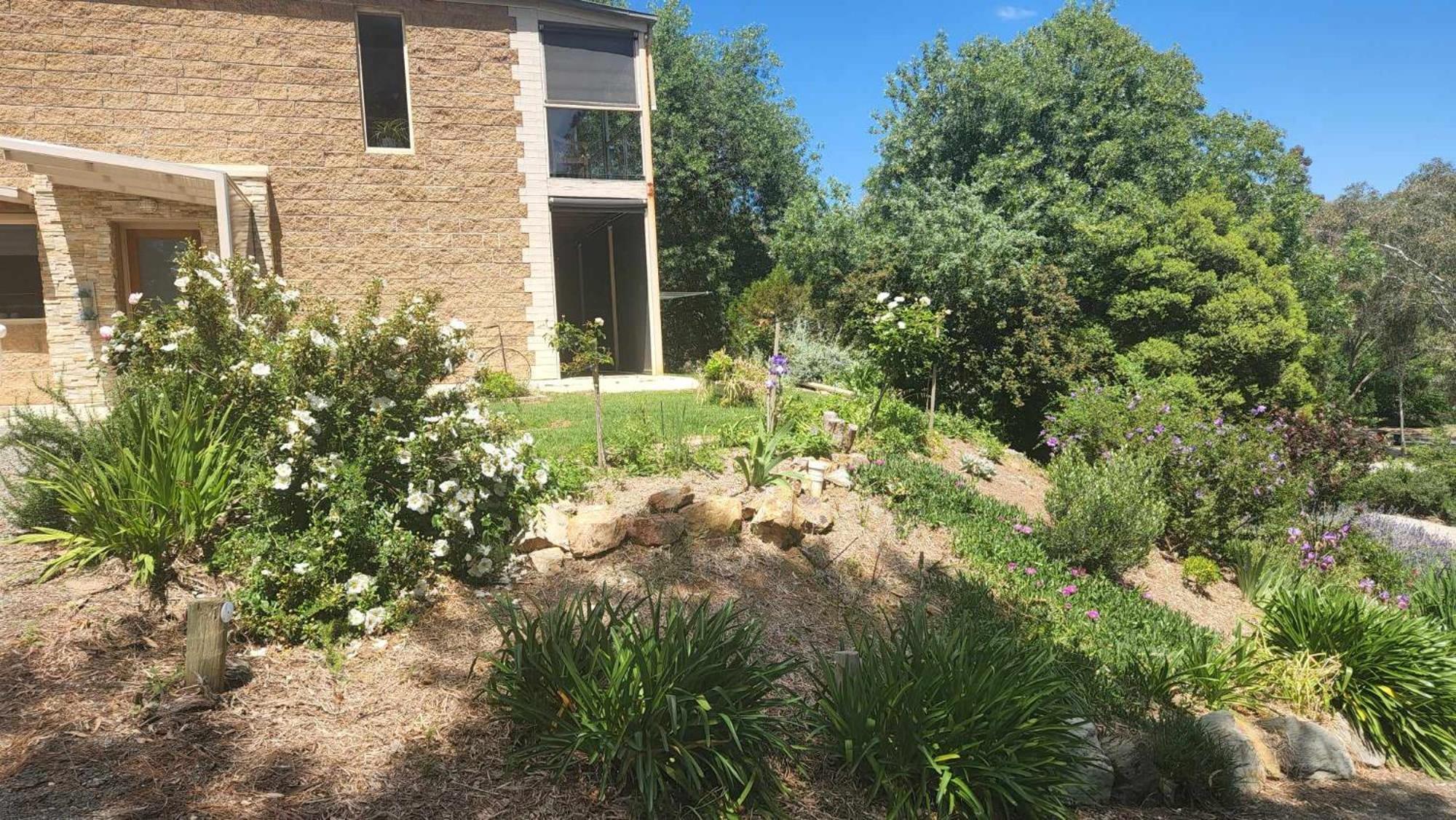 Riesling Trail & Clare Valley Cottages Chambre photo