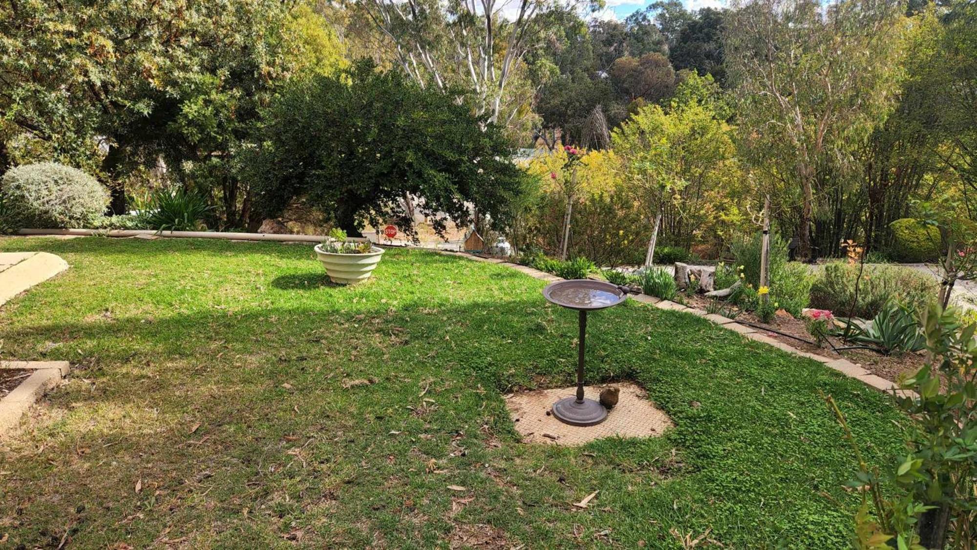 Riesling Trail & Clare Valley Cottages Chambre photo
